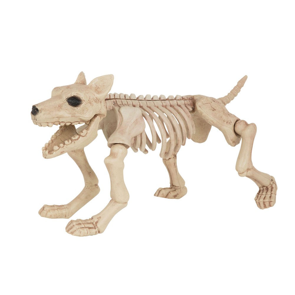 Skelett Hund Halloween Dekoration
