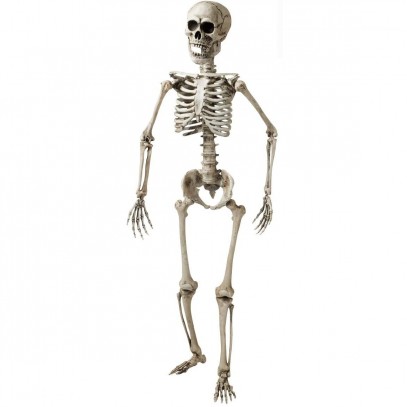 Dreidimensionales SKELETT Knochengerüst 160 cm Halloween Deko 