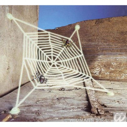 Spinnennetz 27x27 cm mit Spinnen
