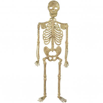 Skelett Dekoration 32 cm