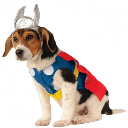 Thor Hundekostüm
