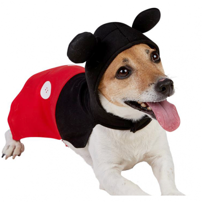Micky Maus Hundekostüm