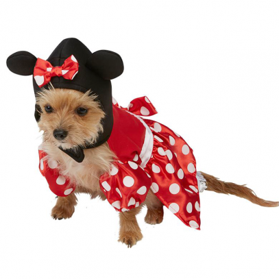 Minnie Maus Hundekostüm