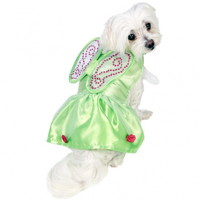 Tinker Bell Hundekostüm