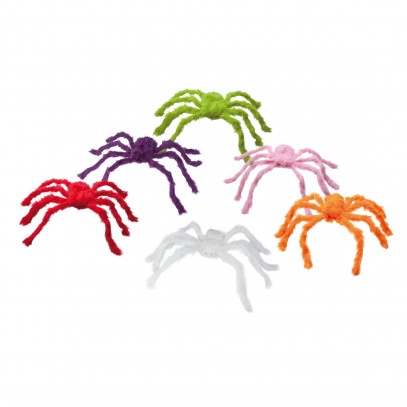 Haarige Spinne in sechs Farben