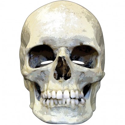 Horror Skull Totenschädel Pappmaske