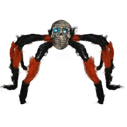 Spider Skull Riesenspinne
