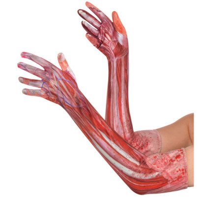 Blutige Adern und Sehnen Handschuhe