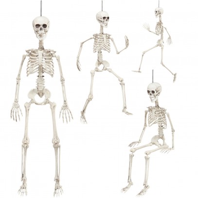 Bewegliches Skelett 90cm