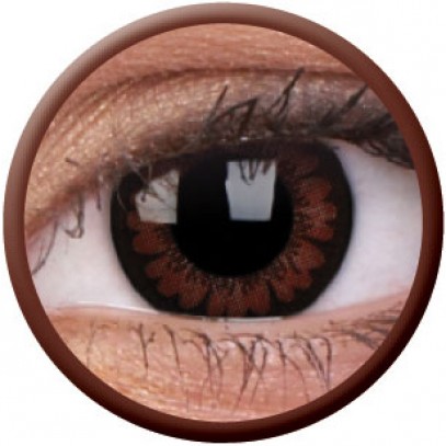 Big Eyes Haselnuss Kontaktlinsen braun