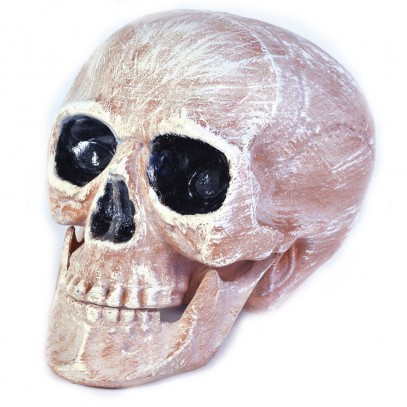 Totenschädel Realistic Skull Deko