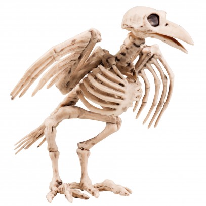 Krähen Skeleton Halloween Deko