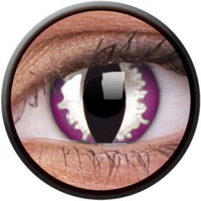 Purple Dragon Kontaktlinsen violett