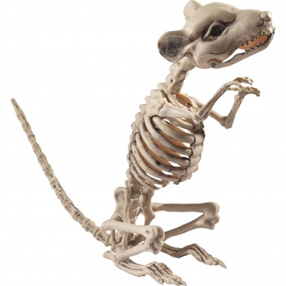 Ratten Skelett Halloween Dekoration 33cm