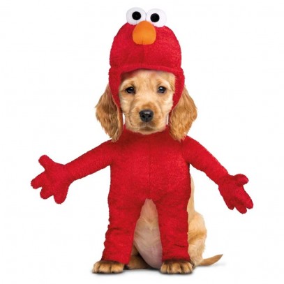 Elmo Kostüm für Hunde