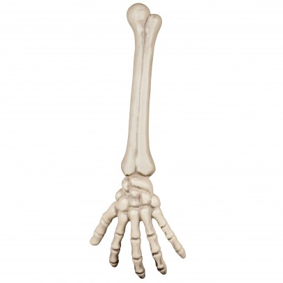 Skelett Arm Halloween Dekoration