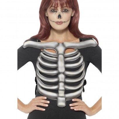 Skelett Brustkorb für Erwachsene