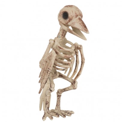 Skelett Vogel Halloween Dekoration