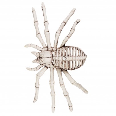 Spider Skeleton Halloween Deko