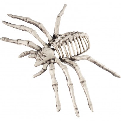 Spinnen Skelett Halloween Dekoration 22cm
