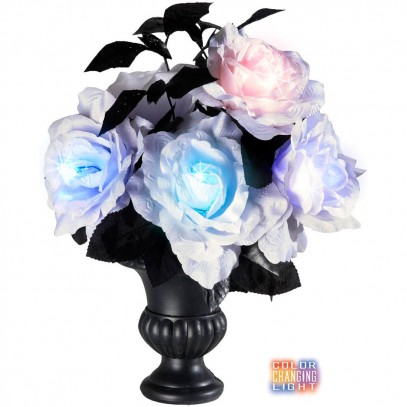 Vase mit 6 farbwechselnden Rosen 1