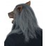 Werewolf Vollkopf Maske mit Haaren 5