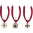 Vampir Halskette mit Medallion und Edelstein 1