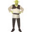 Shrek Kostüm für Herren 1