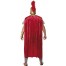 Aulus Römischer Krieger Kostüm 3