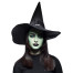 Green Witch Wochenlinse