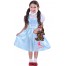 Dorothy Wizard of Oz Kinderkostüm