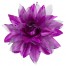Blumige Rosen Haarspange violett