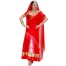 Bollywood Diva Sari Inderin Kostüm