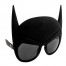 Batgirl Hero Partybrille