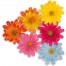 Deko Blumen in 6 Varianten 