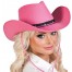 Devine Cowboy Western Hut pink 1