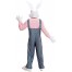 Funny Bunny Hasen Kostüm