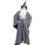 Grey Wizard Zauberer Kostüm für Herren