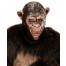 King Luie Affen Maske für Kinder
