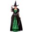 Lunia Waldhexe Kostüm grün-schwarz 2