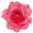 Haarspange mit pinker Rose 1