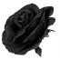 Schwarze Gothic Rose
