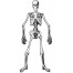 Skelett Wanddekoration 134cm