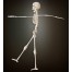 Deko Skelett 40cm