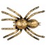 Spinne gold 21x15cm Halloween Dekoration