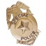 Polizeiabzeichen Special Police gold 1